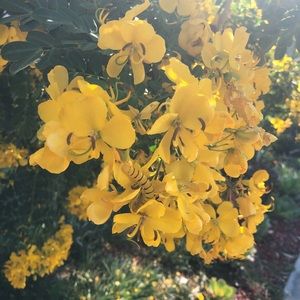 Meet your Posher, Tracy